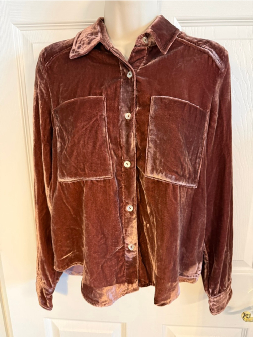 Evereve Velvet Button-Up Collared Blouse Long Sleeve Copper XS
